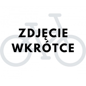 Rower miejski składany Romet E-Wigry 1.0 504Wh - srebrny
